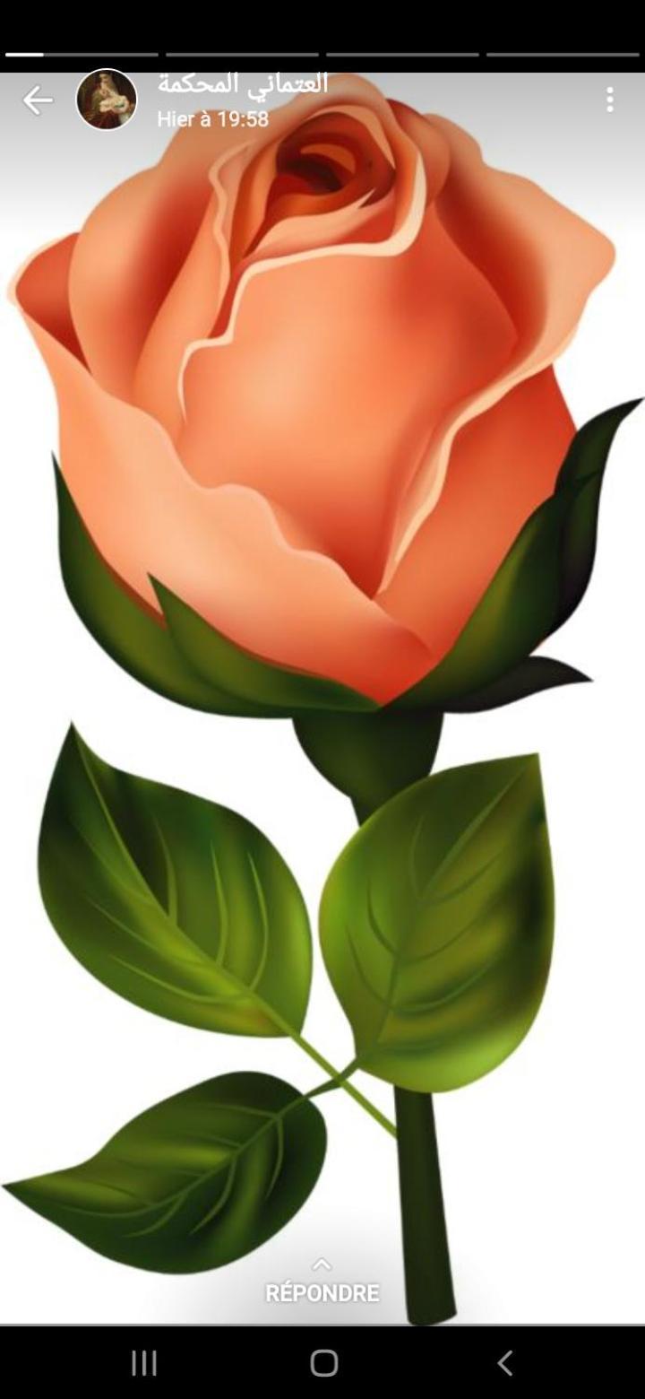 מלון Zaouia Ben Smine La Rose Blanche מראה חיצוני תמונה